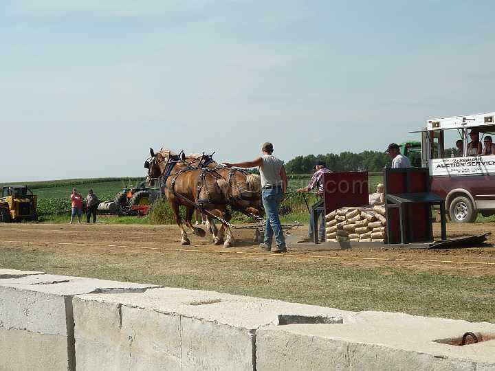 alto-fair-horse-pull-2009-168