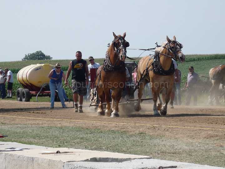 alto-fair-horse-pull-2009-181