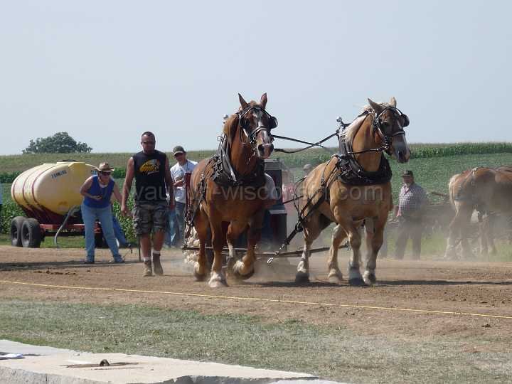alto-fair-horse-pull-2009-182