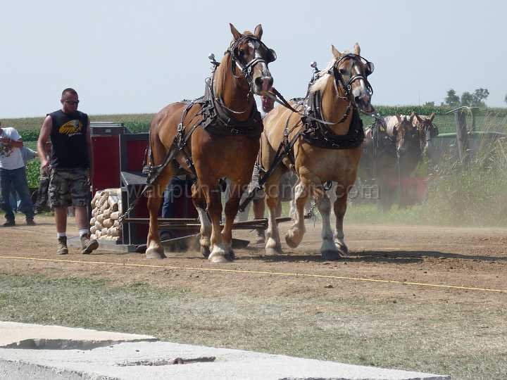 alto-fair-horse-pull-2009-188