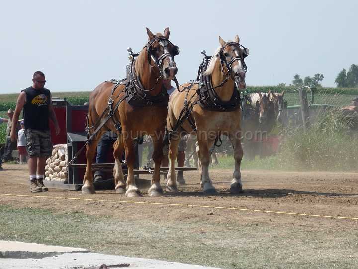 alto-fair-horse-pull-2009-189