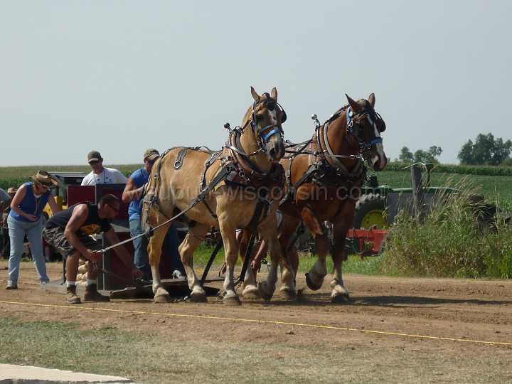 alto-fair-horse-pull-2009-192