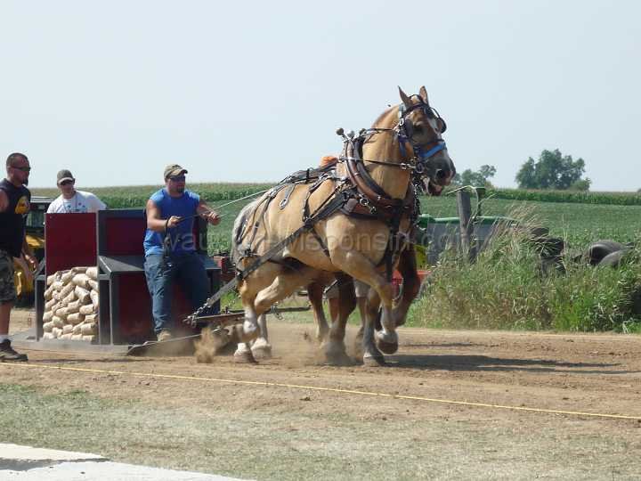 alto-fair-horse-pull-2009-194