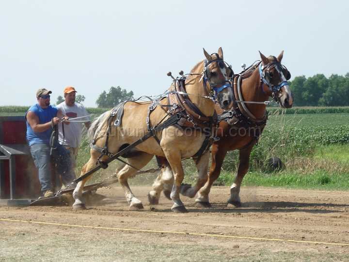 alto-fair-horse-pull-2009-199