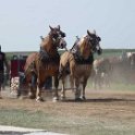 alto-fair-horse-pull-2009-185