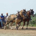 alto-fair-horse-pull-2009-198