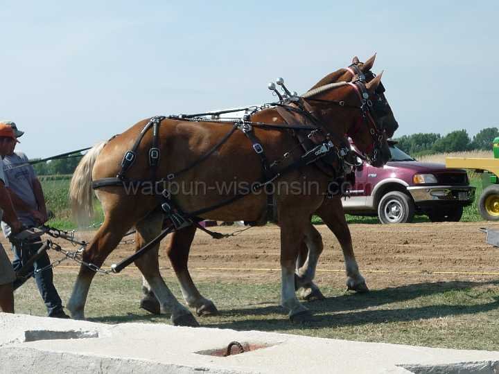 alto-fair-horse-pull-2009-235