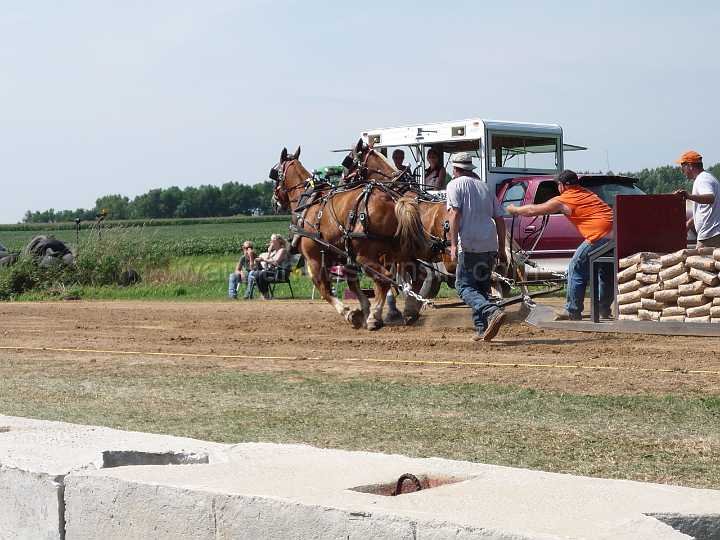 alto-fair-horse-pull-2009-239