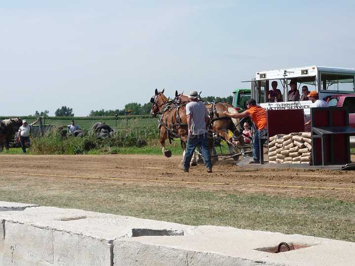 alto-fair-horse-pull-2009-242