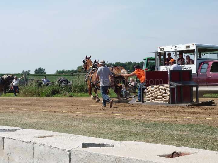 alto-fair-horse-pull-2009-243