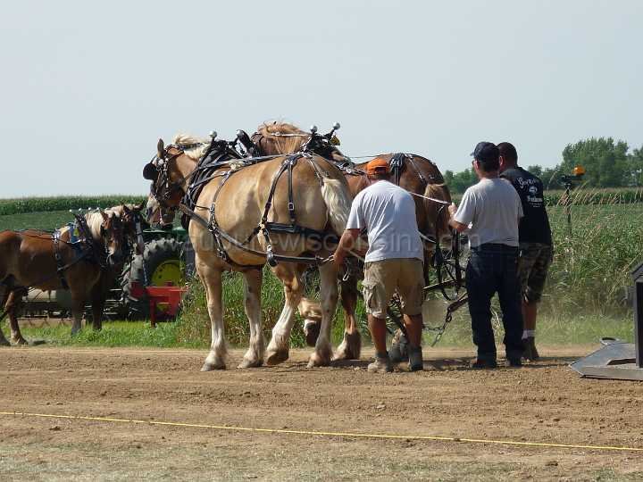 alto-fair-horse-pull-2009-248