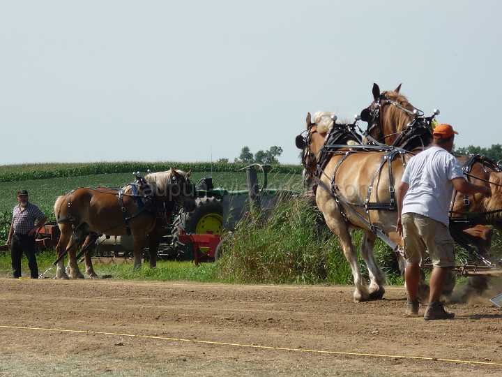 alto-fair-horse-pull-2009-249