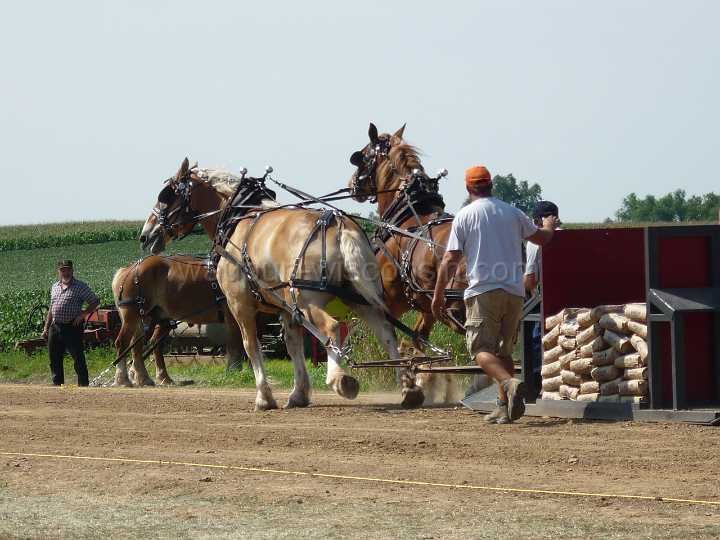 alto-fair-horse-pull-2009-253