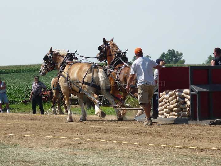 alto-fair-horse-pull-2009-254