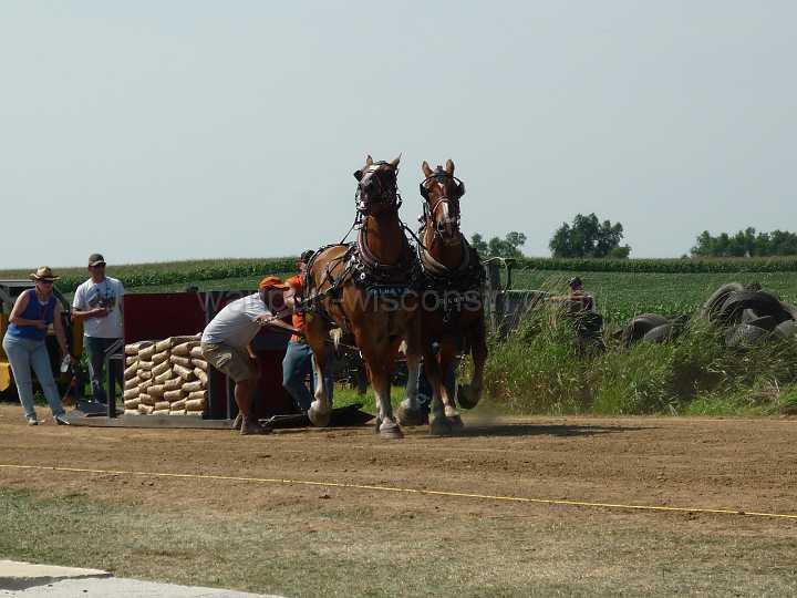 alto-fair-horse-pull-2009-260