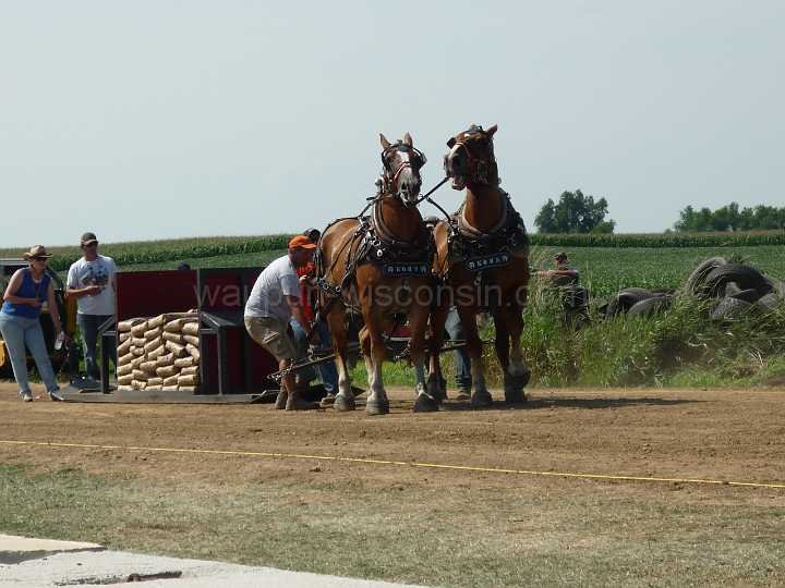 alto-fair-horse-pull-2009-263