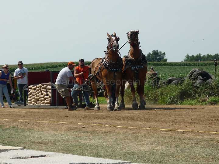 alto-fair-horse-pull-2009-266