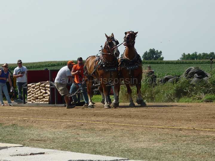 alto-fair-horse-pull-2009-267
