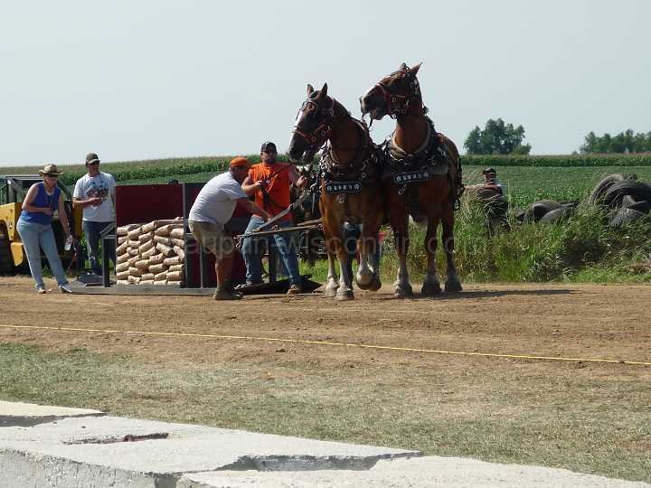 alto-fair-horse-pull-2009-269