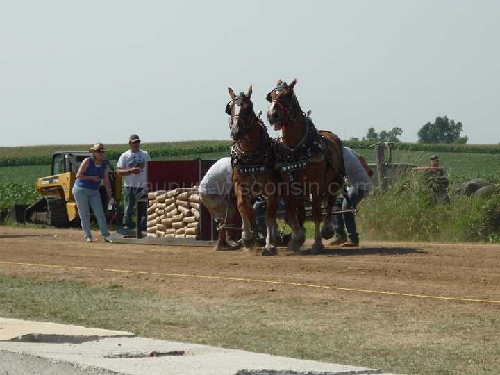 alto-fair-horse-pull-2009-271