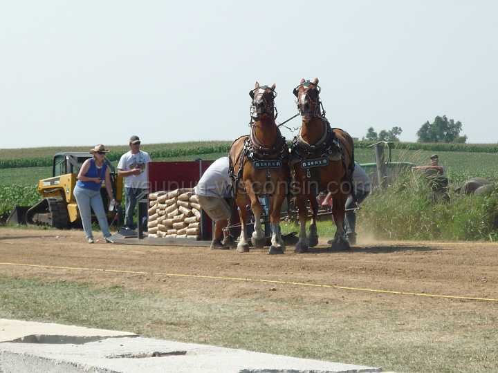 alto-fair-horse-pull-2009-272