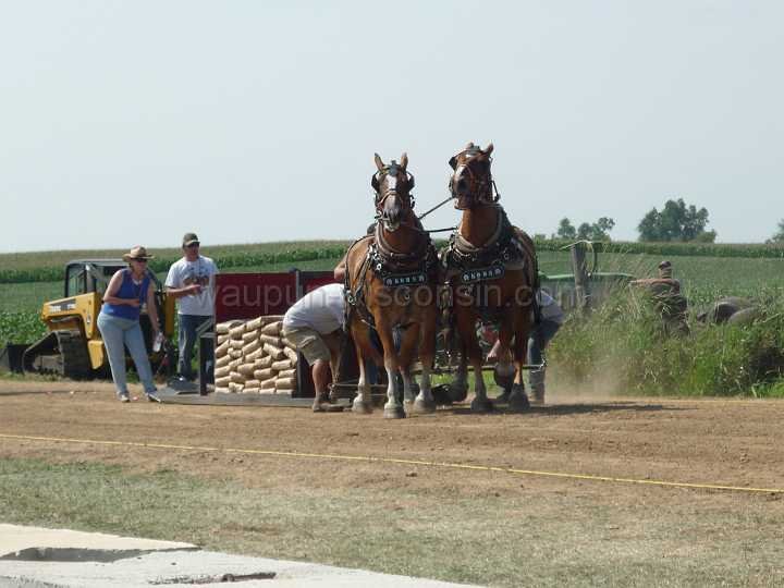 alto-fair-horse-pull-2009-273