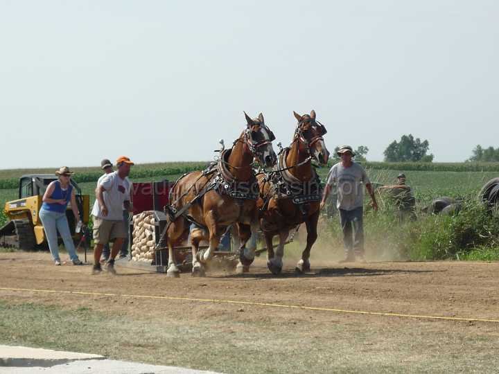 alto-fair-horse-pull-2009-276