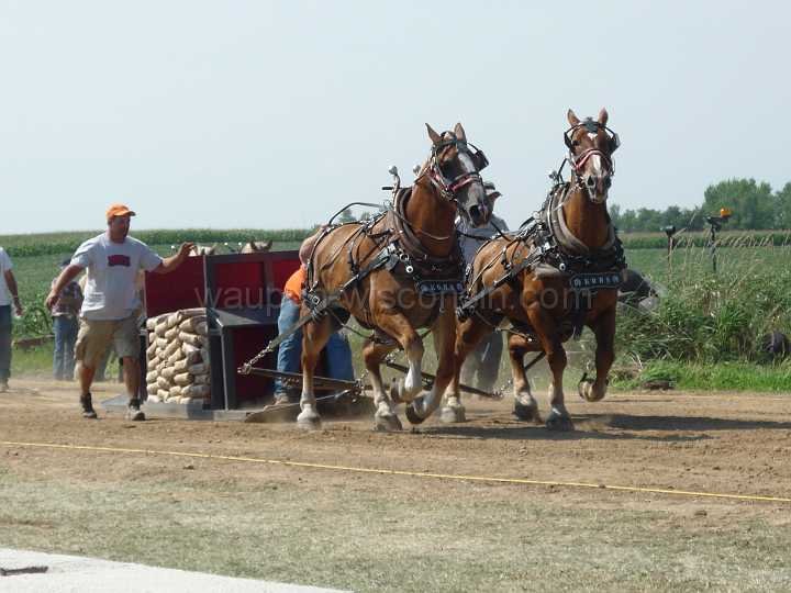 alto-fair-horse-pull-2009-281