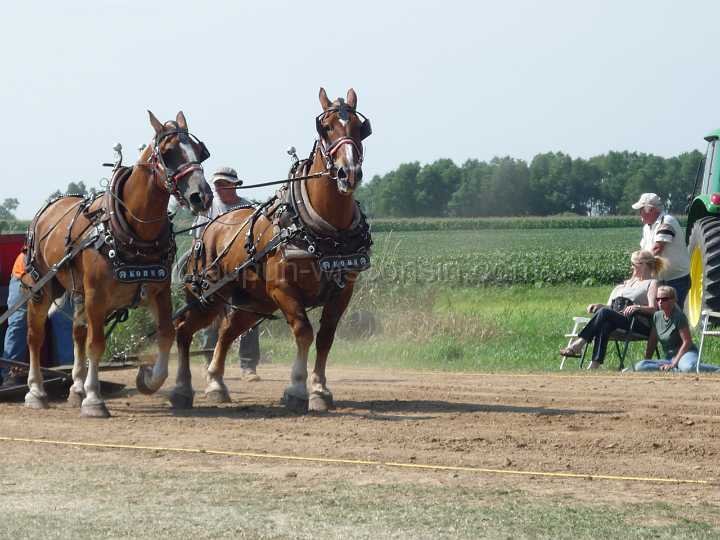 alto-fair-horse-pull-2009-284