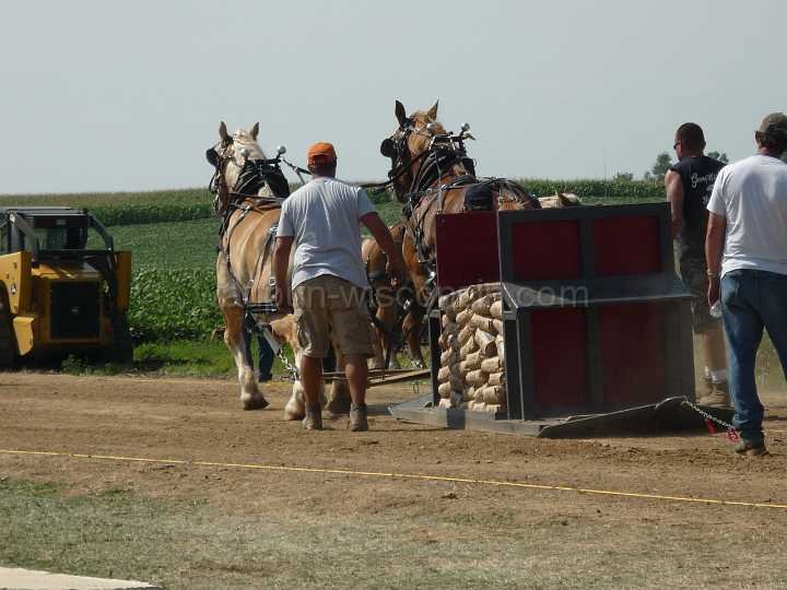 alto-fair-horse-pull-2009-287