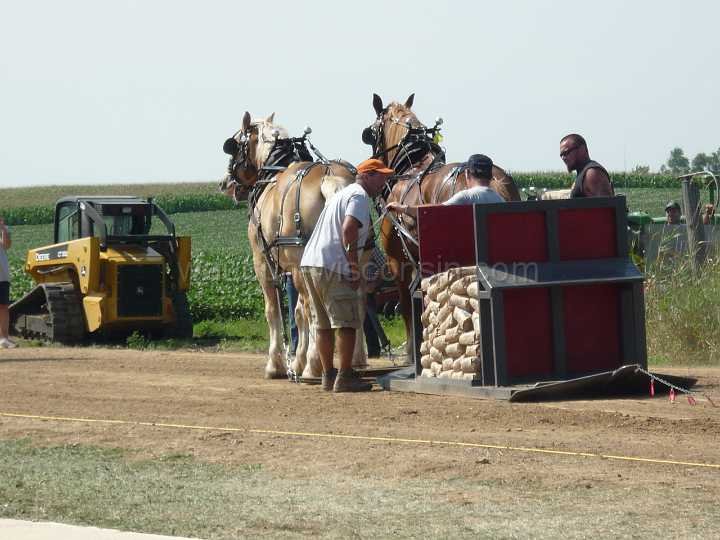 alto-fair-horse-pull-2009-292