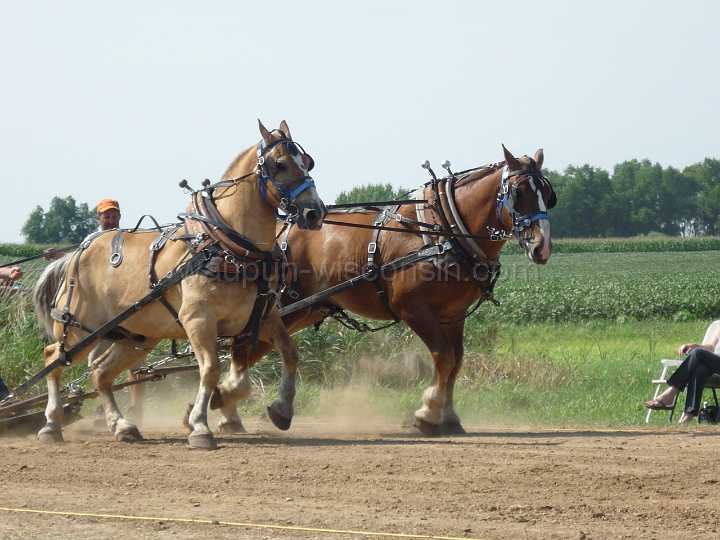 alto-fair-horse-pull-2009-296