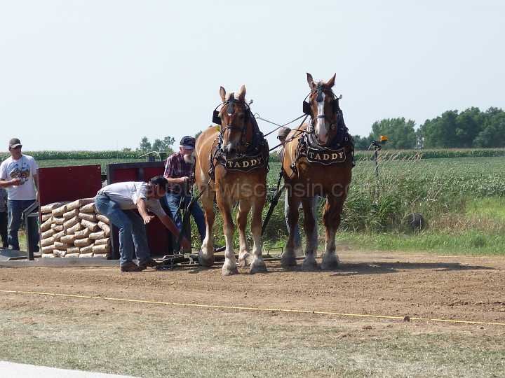 alto-fair-horse-pull-2009-300