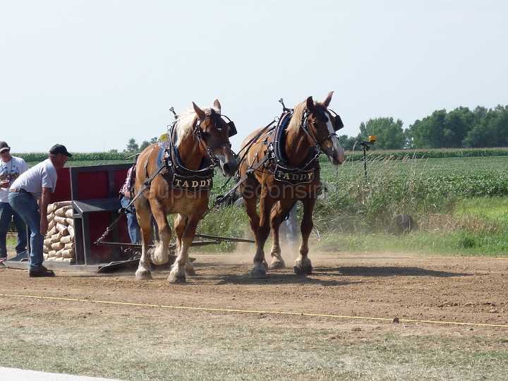 alto-fair-horse-pull-2009-302