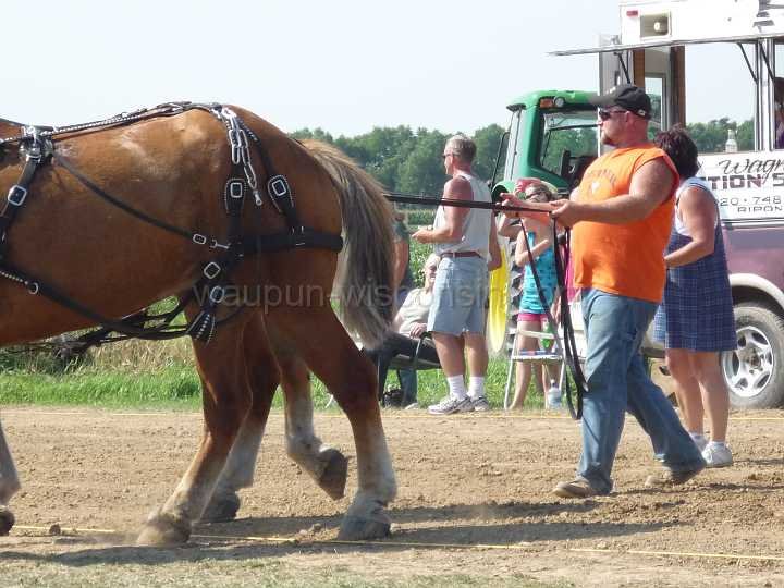 alto-fair-horse-pull-2009-310