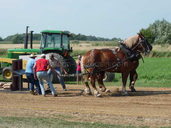 alto-fair-horse-pull-2009-311