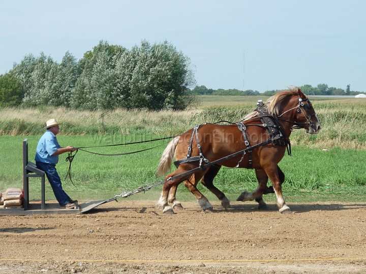alto-fair-horse-pull-2009-318