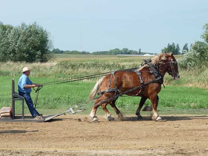 alto-fair-horse-pull-2009-319