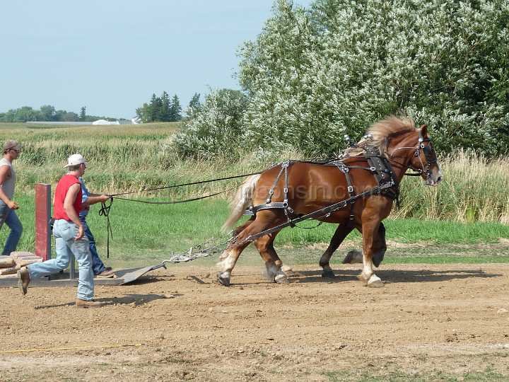 alto-fair-horse-pull-2009-321