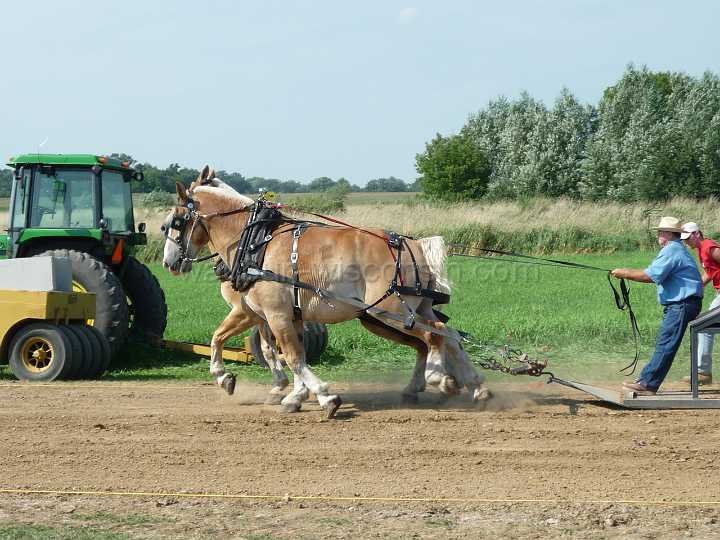 alto-fair-horse-pull-2009-331