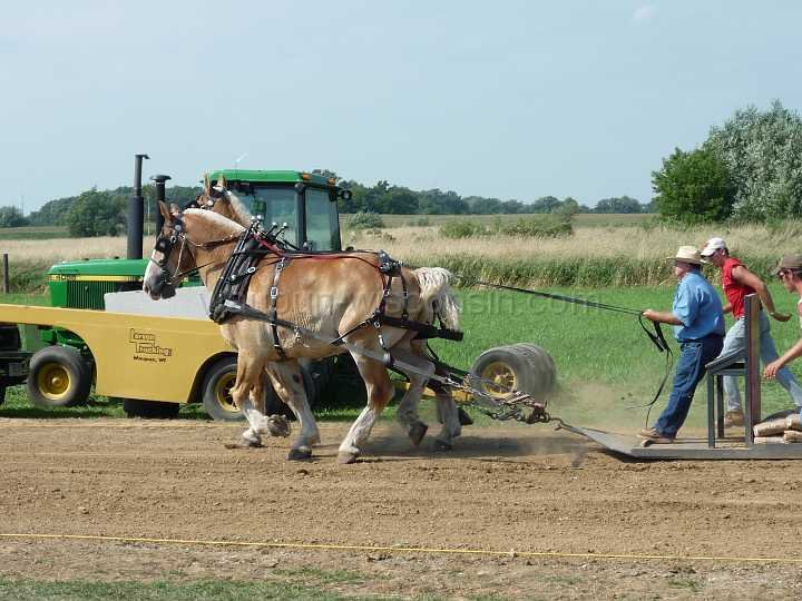 alto-fair-horse-pull-2009-332