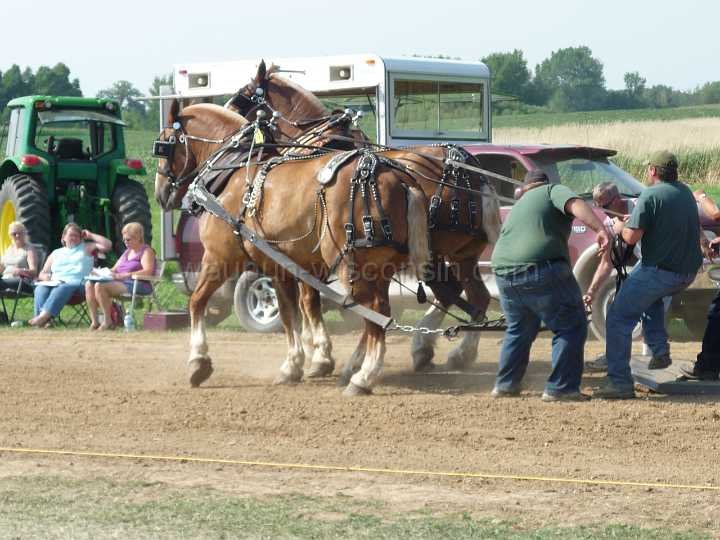alto-fair-horse-pull-2009-339