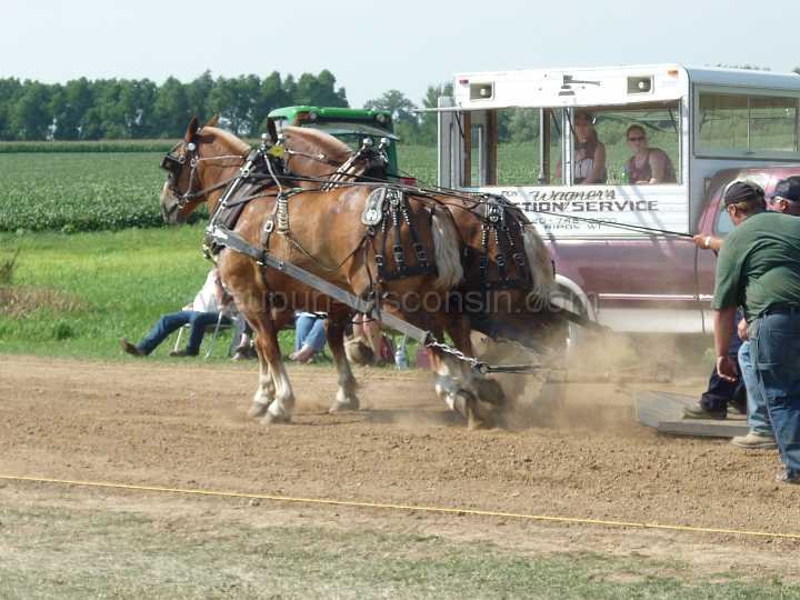 alto-fair-horse-pull-2009-344