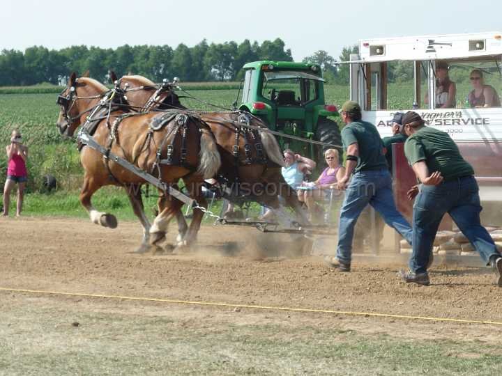 alto-fair-horse-pull-2009-345