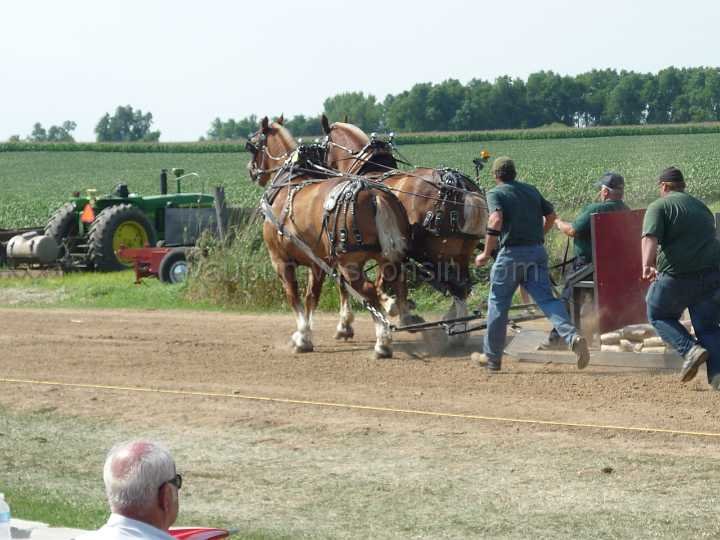alto-fair-horse-pull-2009-347