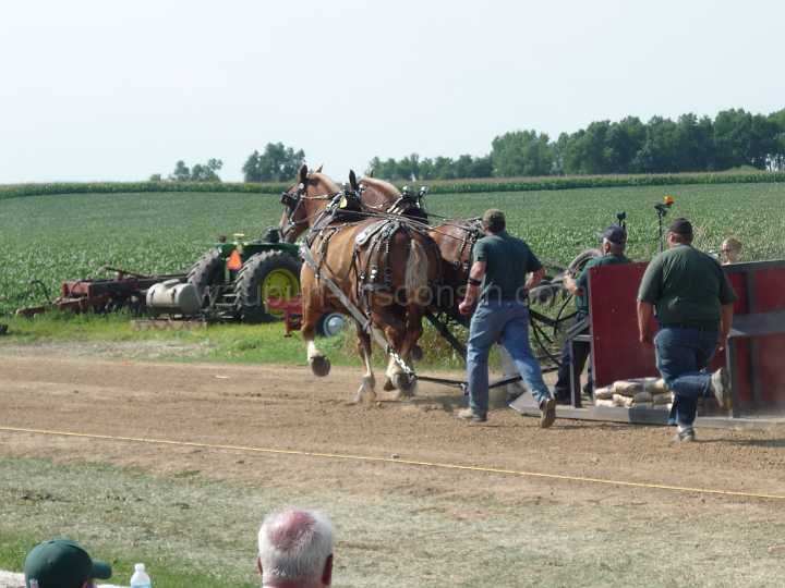 alto-fair-horse-pull-2009-348
