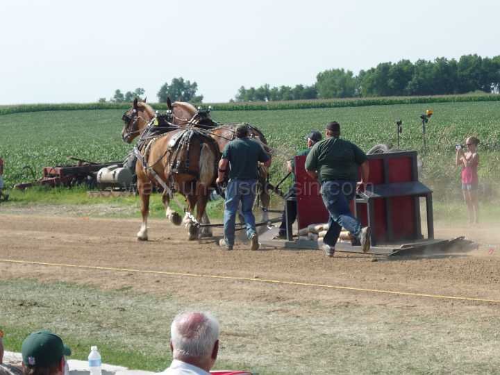 alto-fair-horse-pull-2009-349