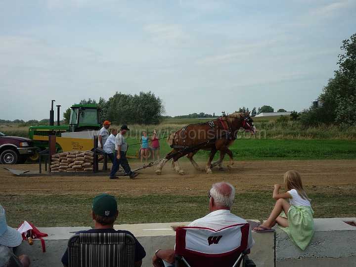 alto-fair-horse-pull-2009-357