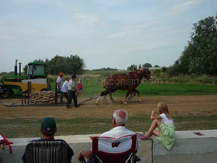 alto-fair-horse-pull-2009-358