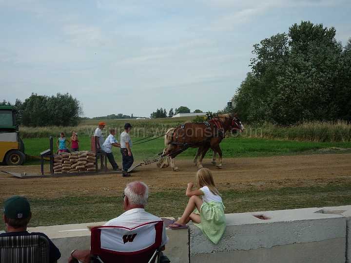 alto-fair-horse-pull-2009-361